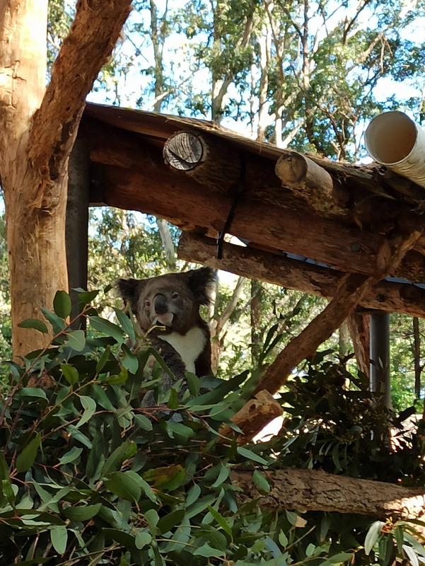 IMG_20200824_123322.jpg IMG_20200824_123322.jpg