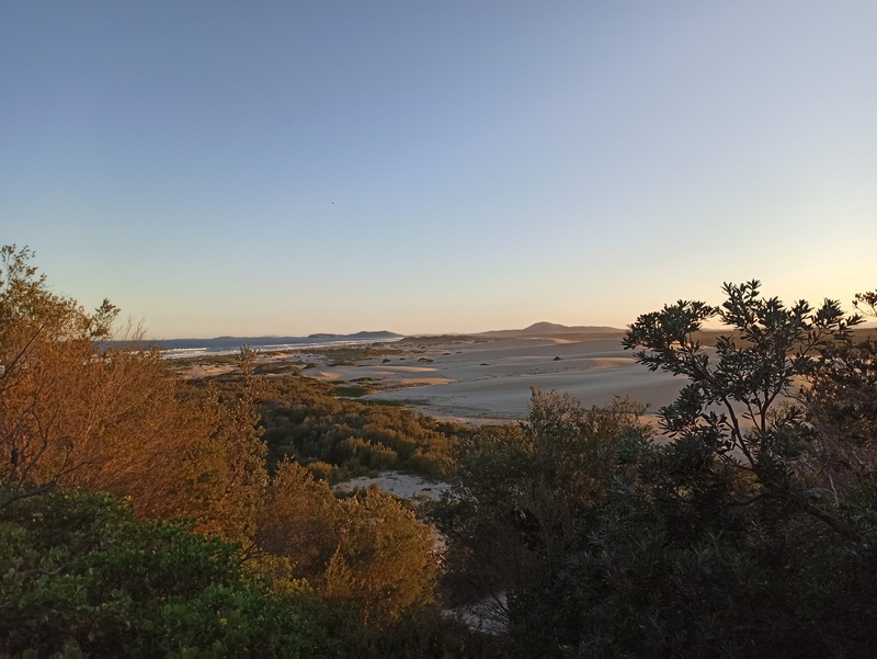 IMG_20200824_170658.jpg IMG_20200824_170658.jpg