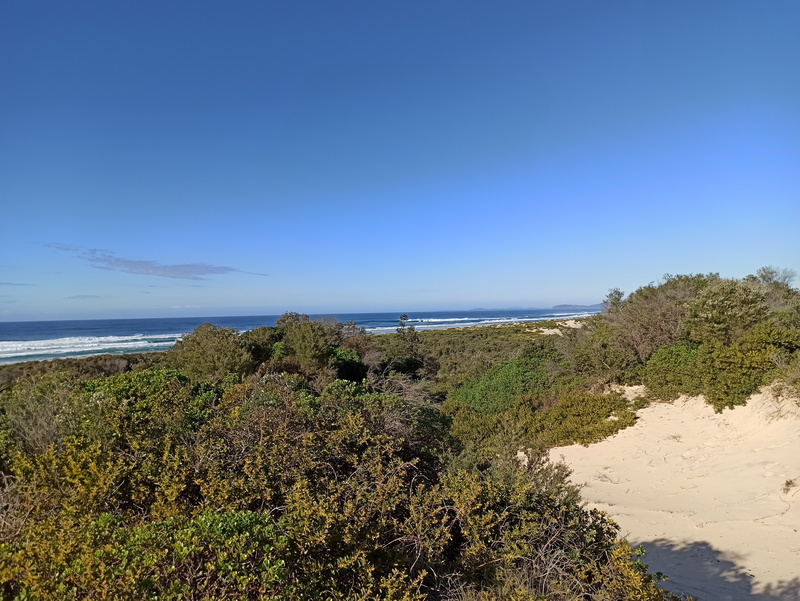 IMG_20200825_082515.jpg IMG_20200825_082515.jpg