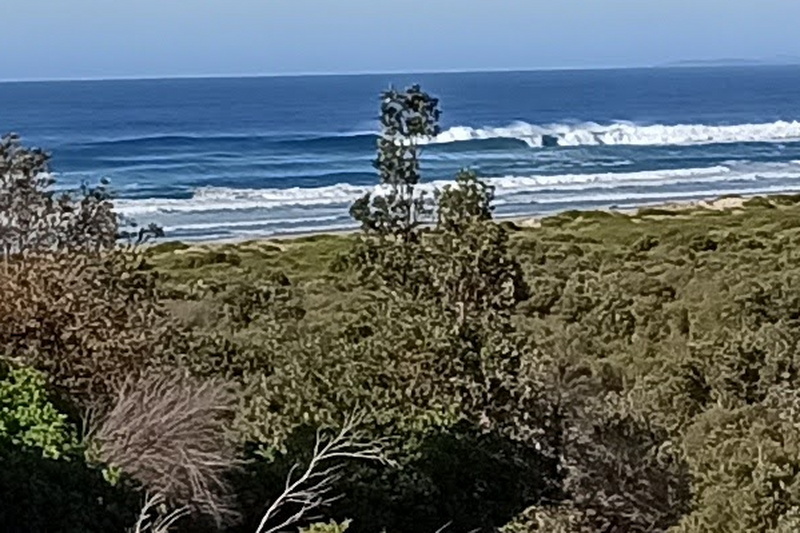 IMG_20200825_082515-1.jpg IMG_20200825_082515-1.jpg