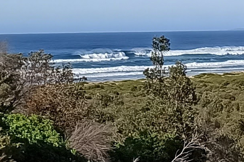 IMG_20200825_082528.jpg IMG_20200825_082528.jpg