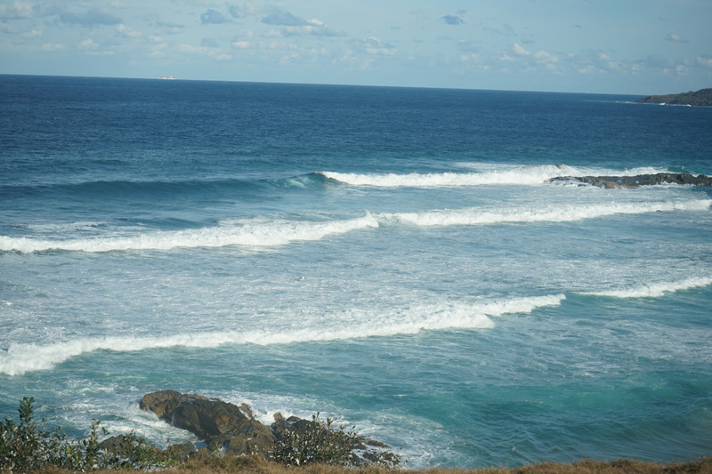 DSC03312.jpg DSC03312.jpg