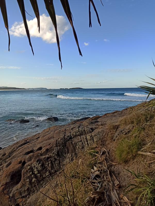 IMG_20200825_161850.jpg IMG_20200825_161850.jpg