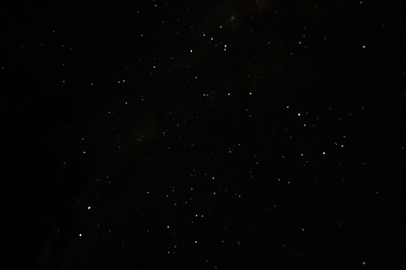 DSC03614.jpg