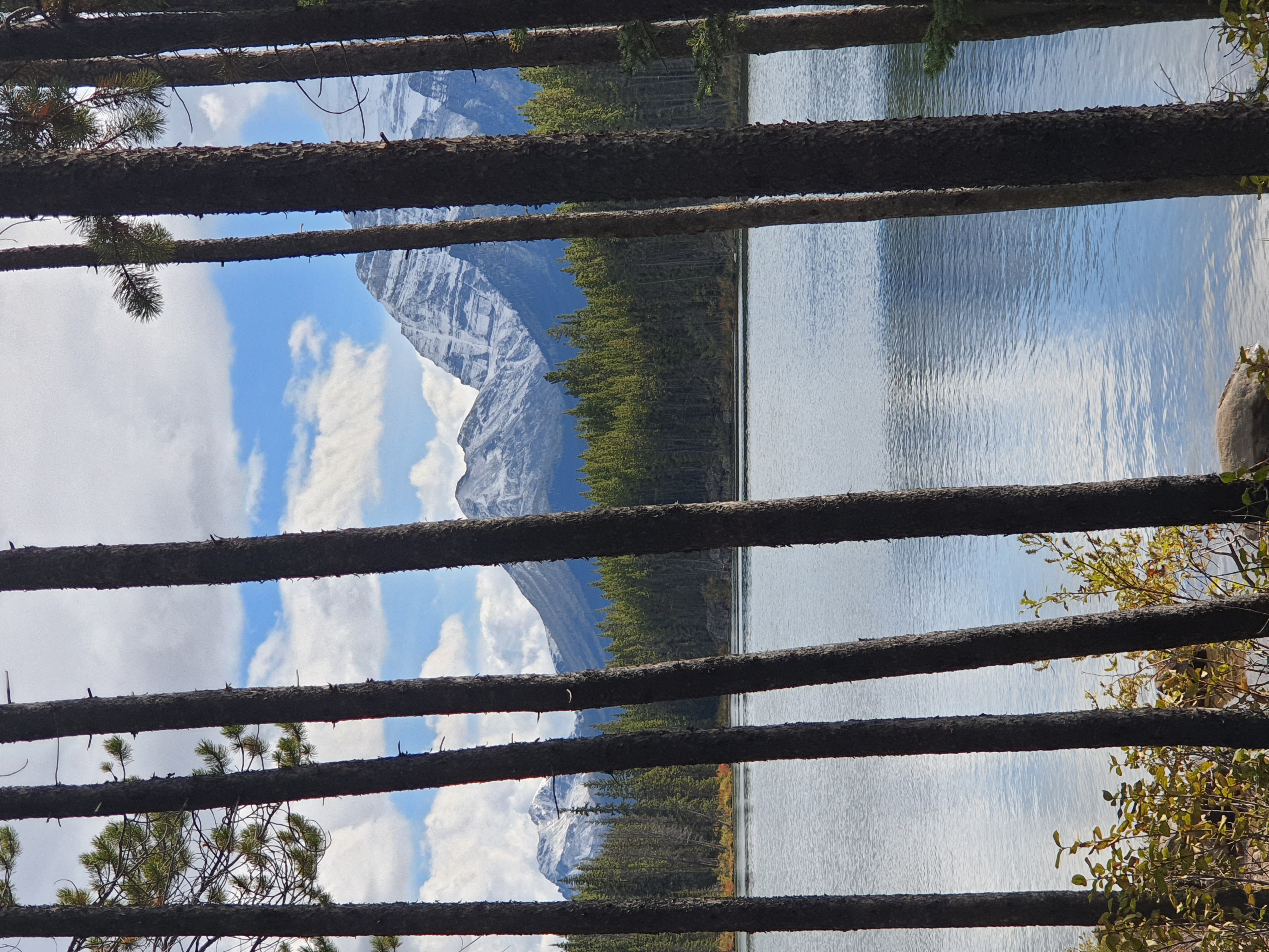 20210919_155728.jpg