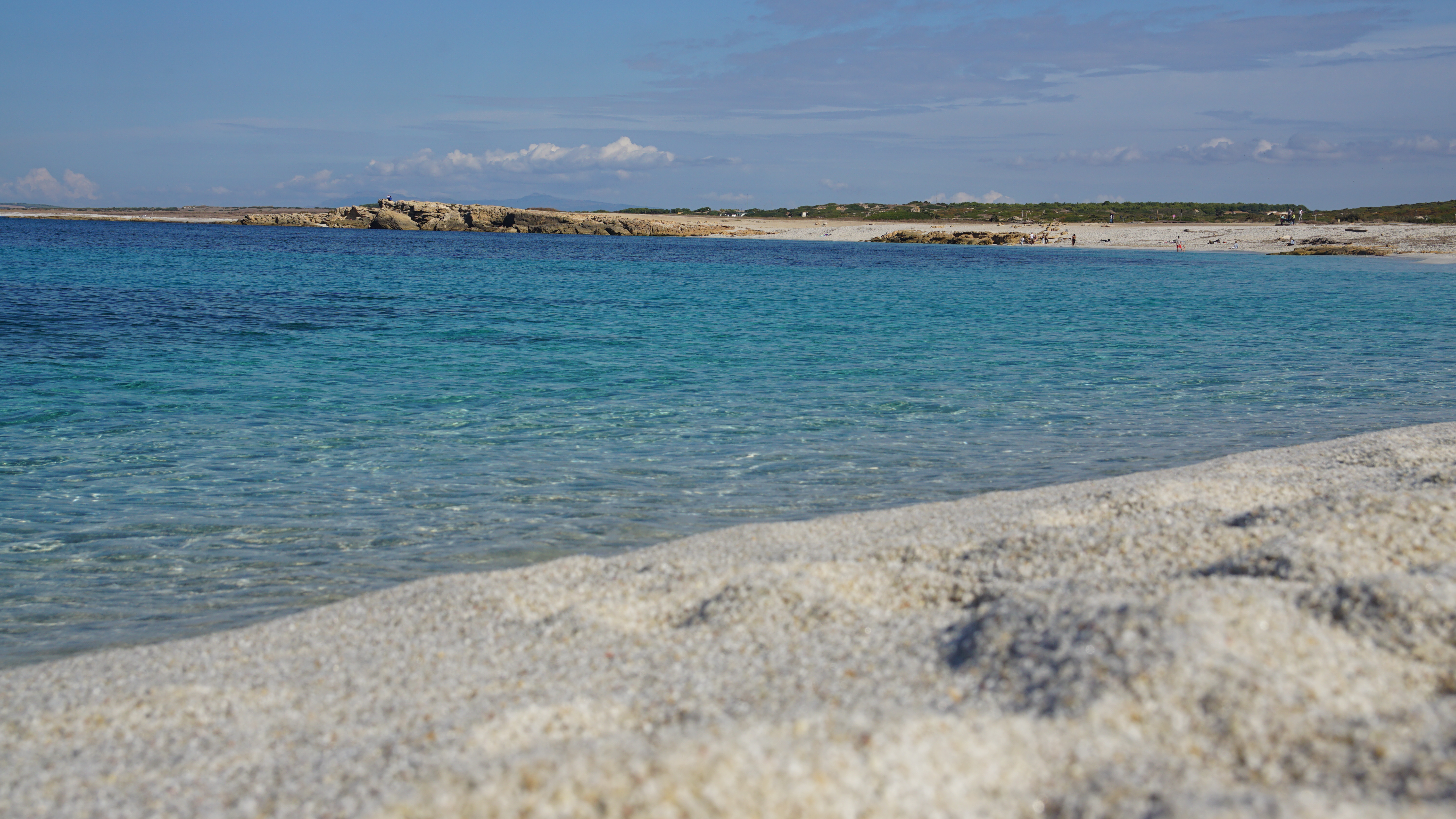 DSC07989.JPG