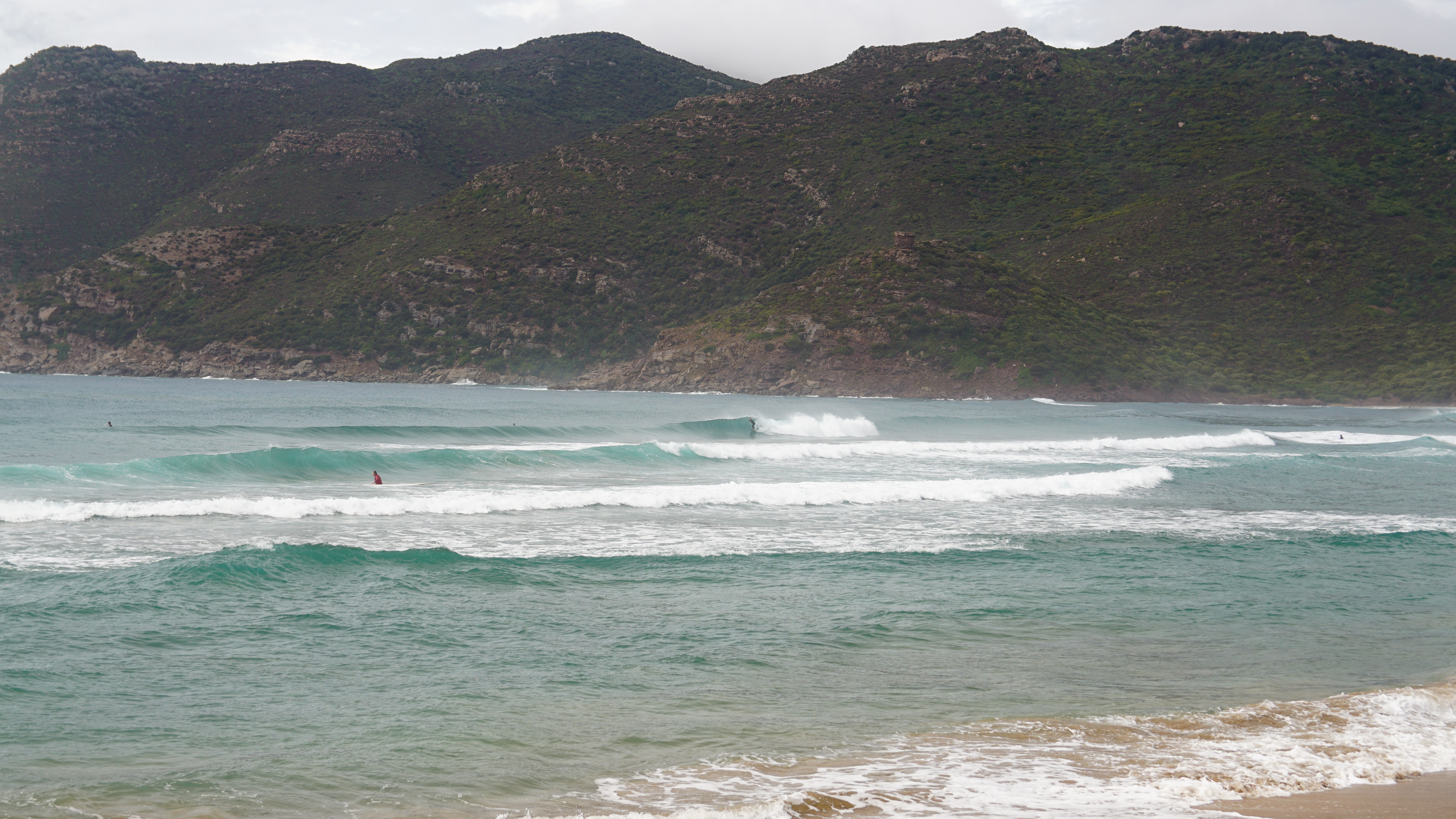 DSC08029.JPG
