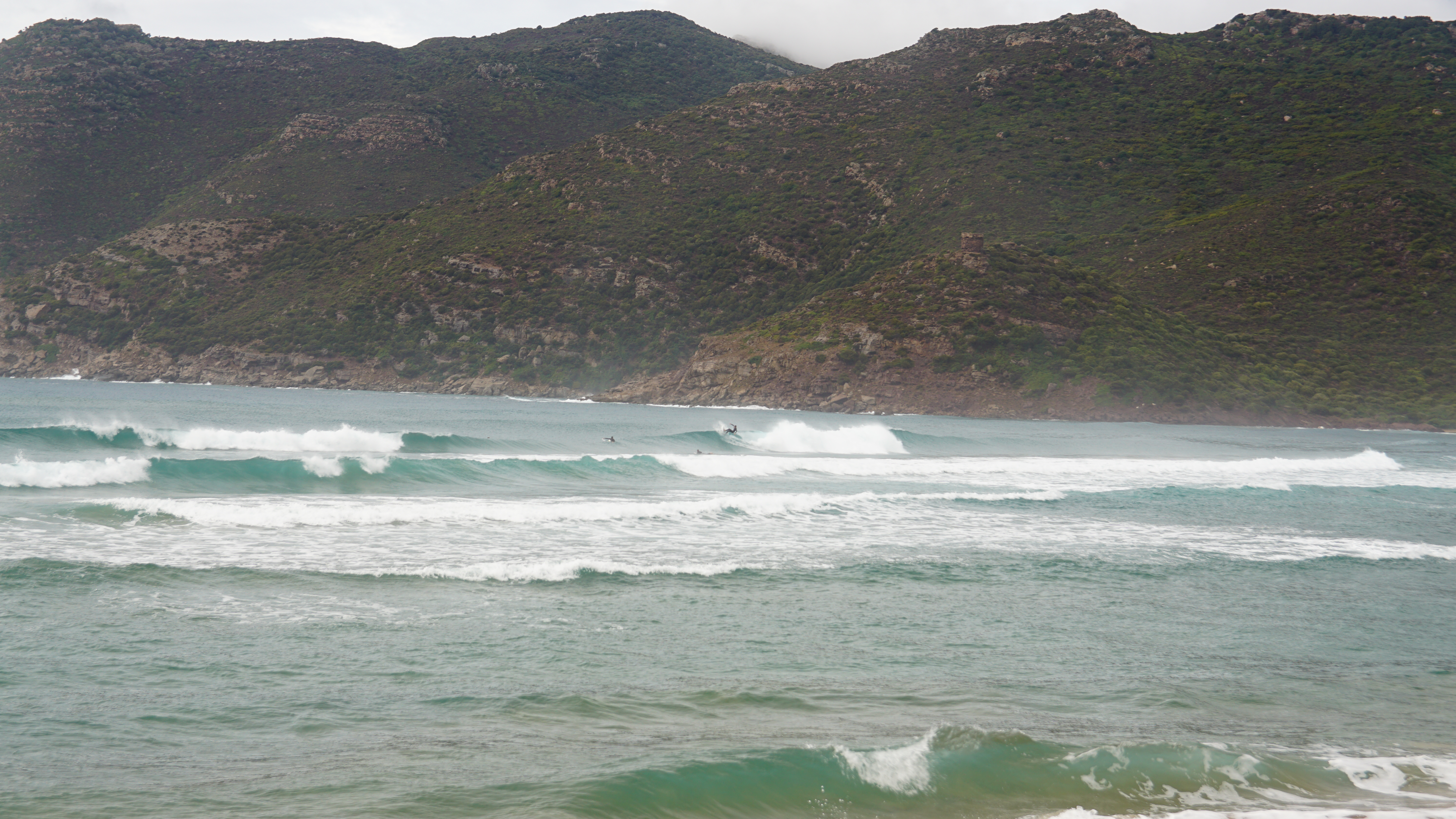 DSC08033.JPG
