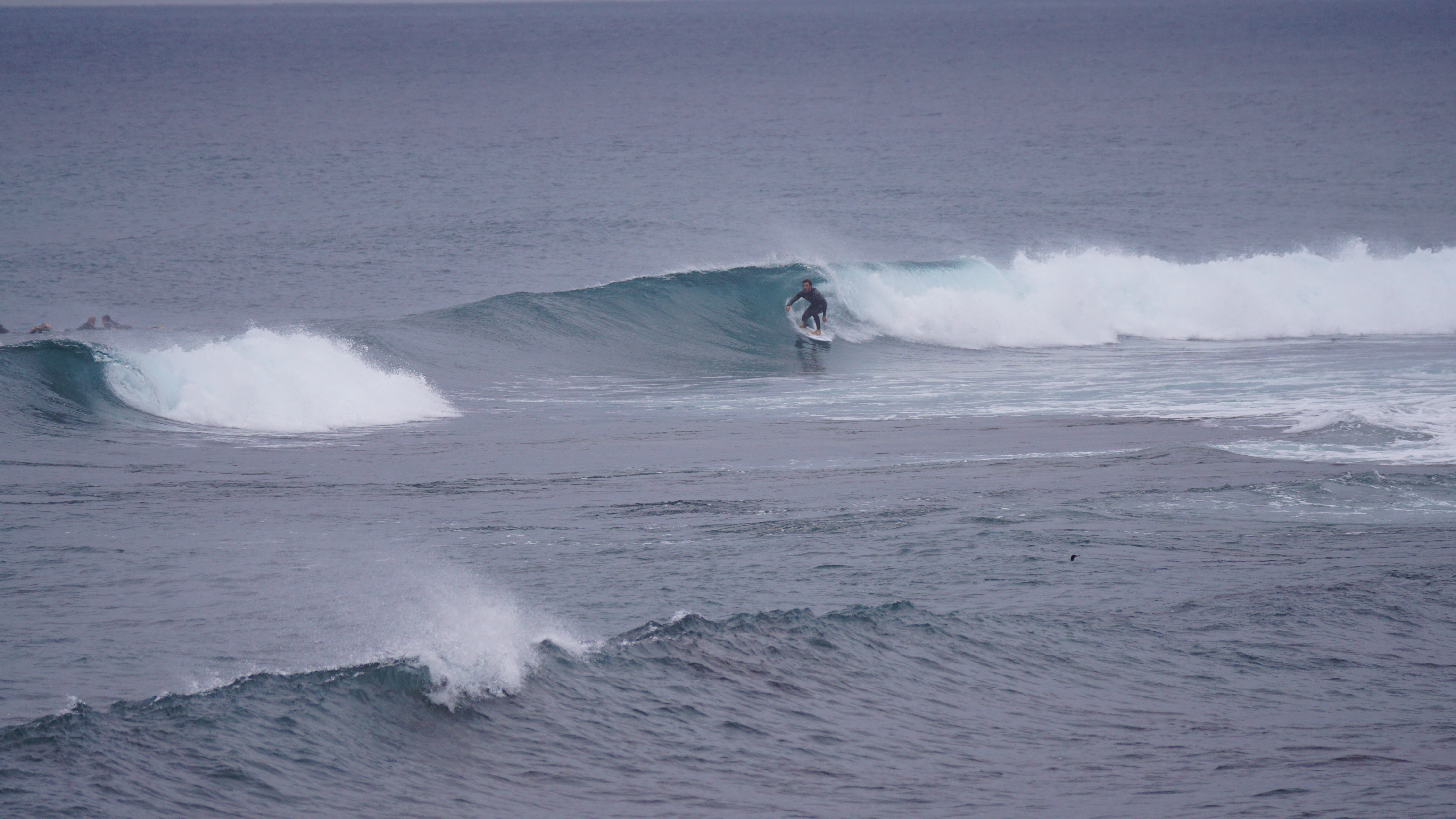 DSC08227.JPG