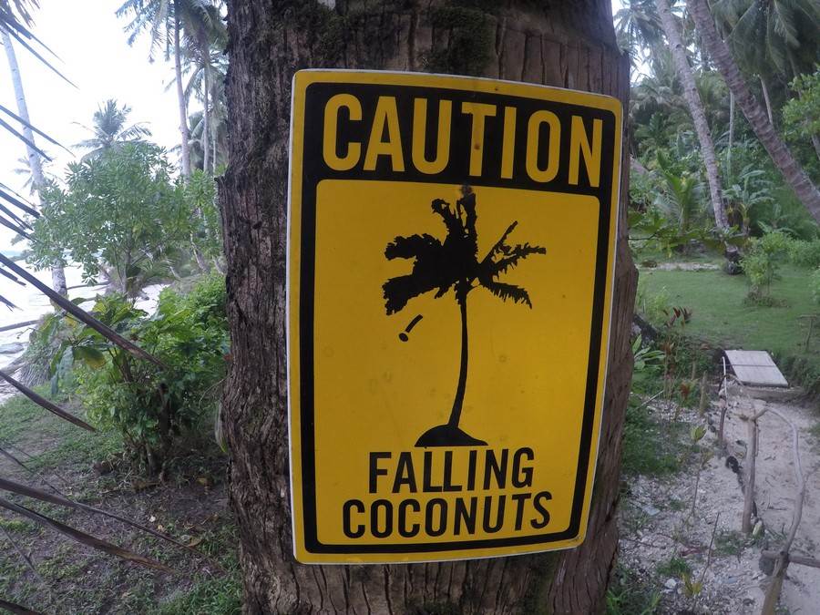 Seul danger local.JPG