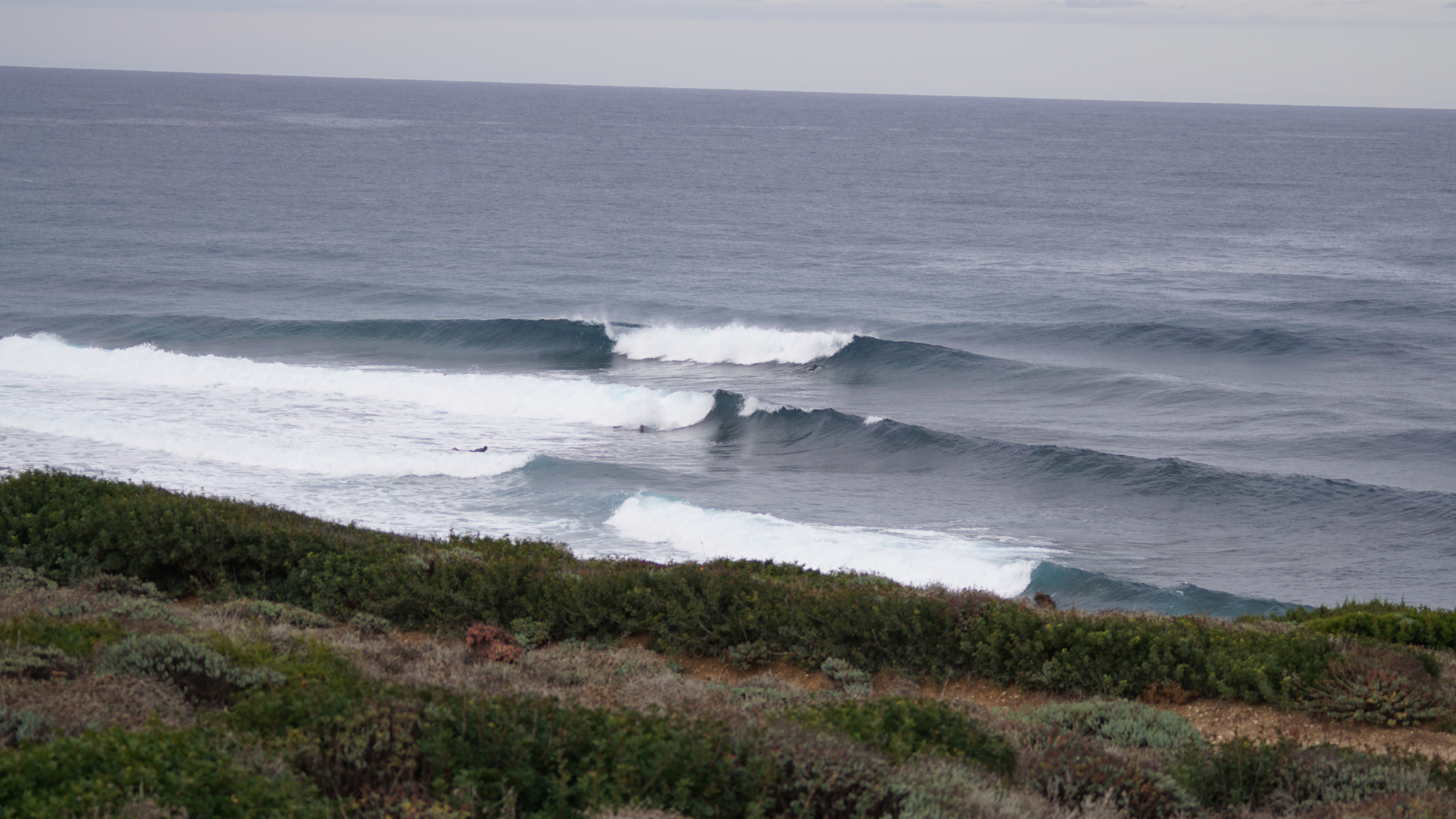DSC08876.JPG