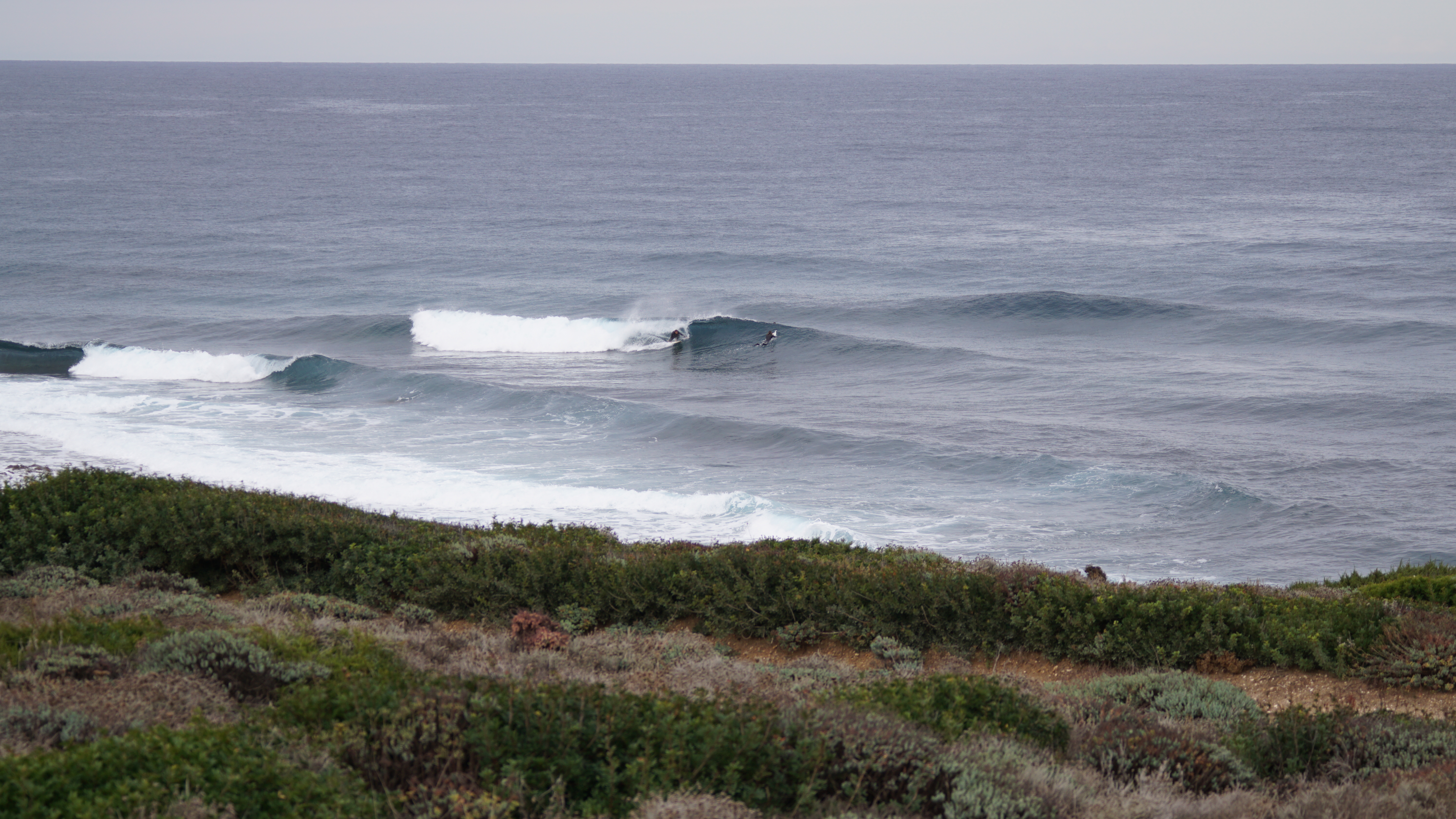 DSC08873.JPG