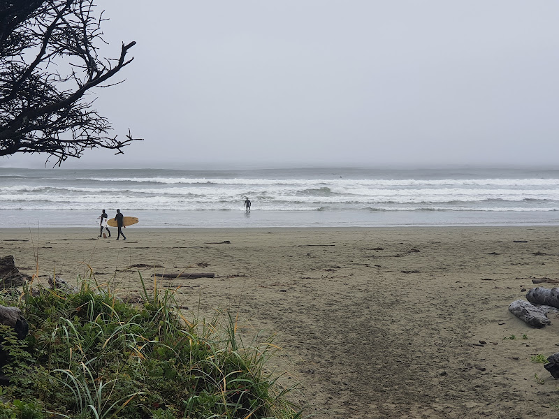 20210926_142017.jpg 20210926_142017.jpg