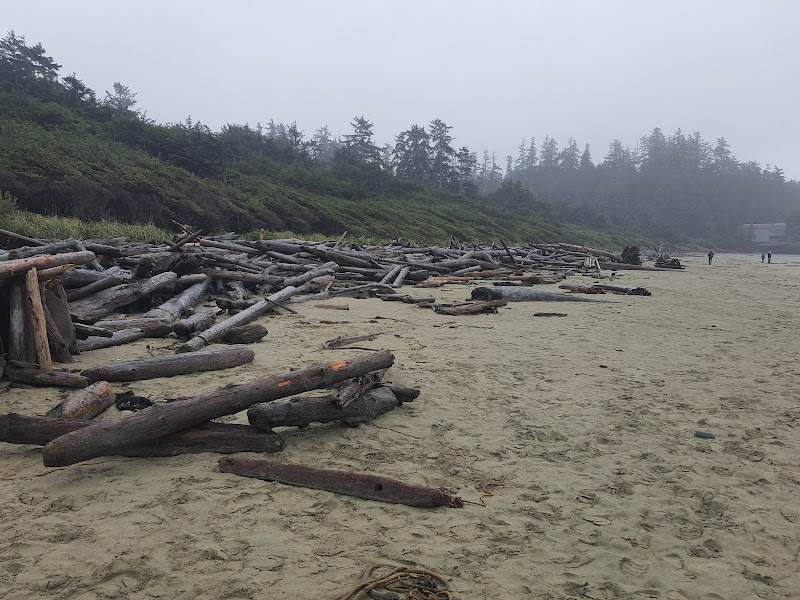 20210926_142832.jpg 20210926_142832.jpg