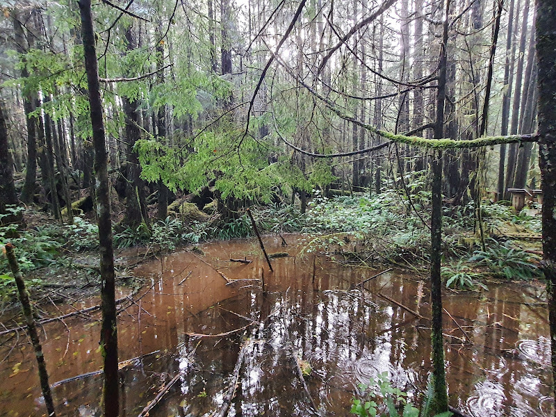 20210927_095555.jpg 20210927_095555.jpg