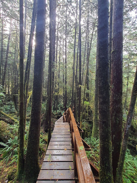 20210927_095627.jpg 20210927_095627.jpg