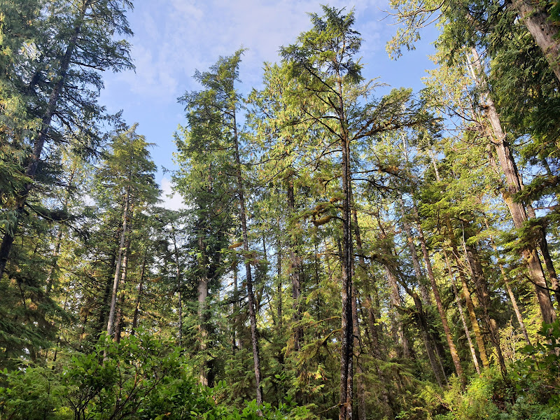 20210927_095853.jpg 20210927_095853.jpg