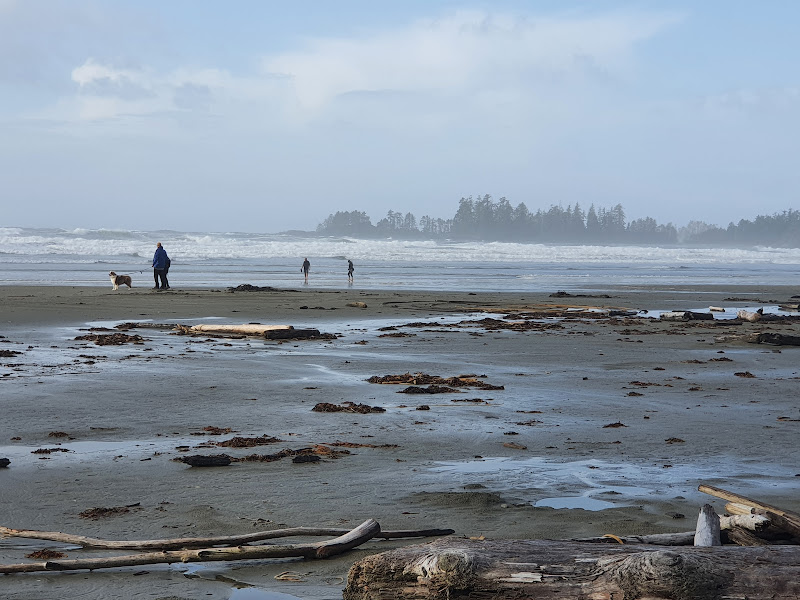 20210927_102821.jpg 20210927_102821.jpg