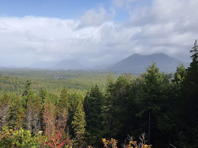 20210927_105236.jpg 20210927_105236.jpg