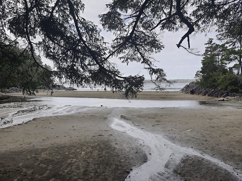 20210927_124655.jpg 20210927_124655.jpg