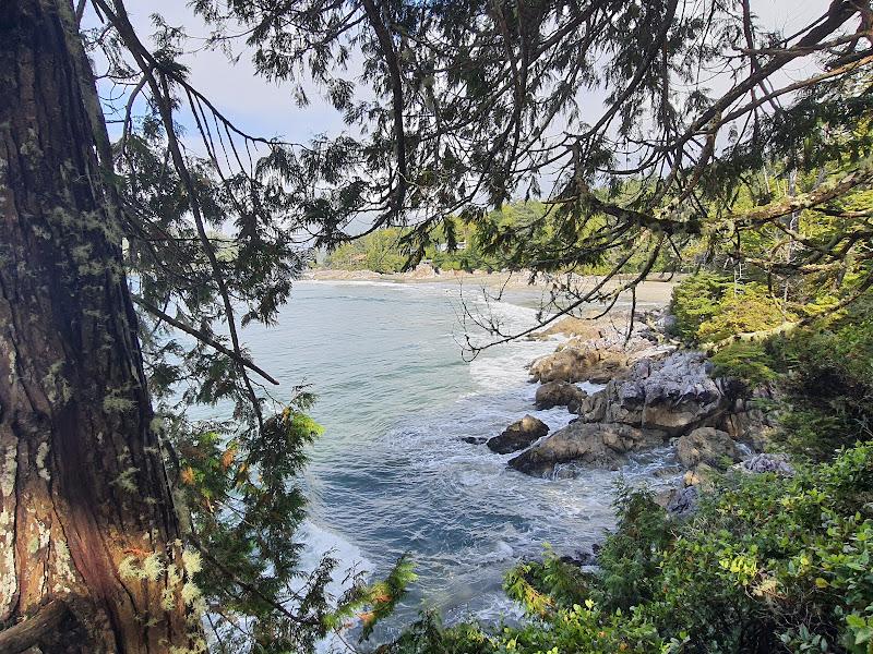 20210927_130623.jpg 20210927_130623.jpg