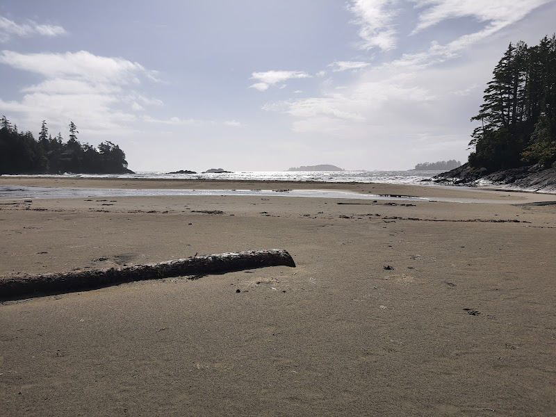 20210927_133157.jpg 20210927_133157.jpg