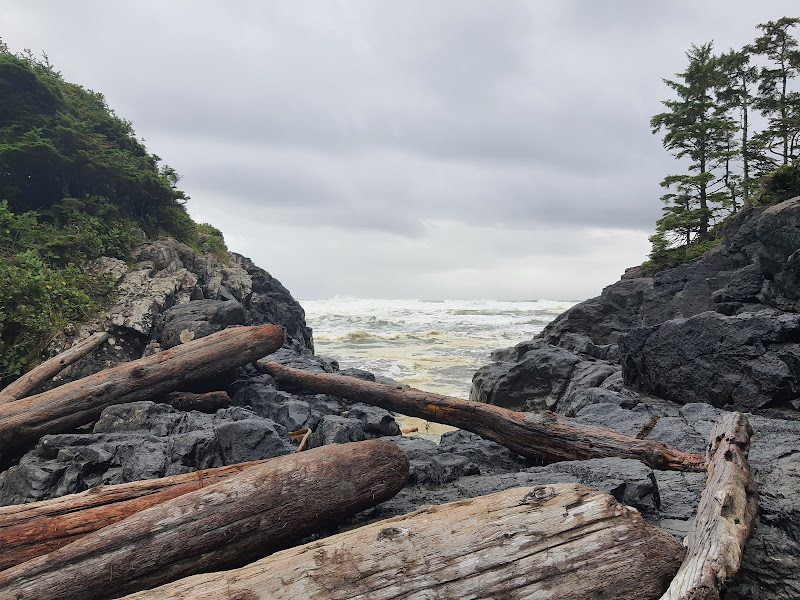 20210927_163644.jpg 20210927_163644.jpg