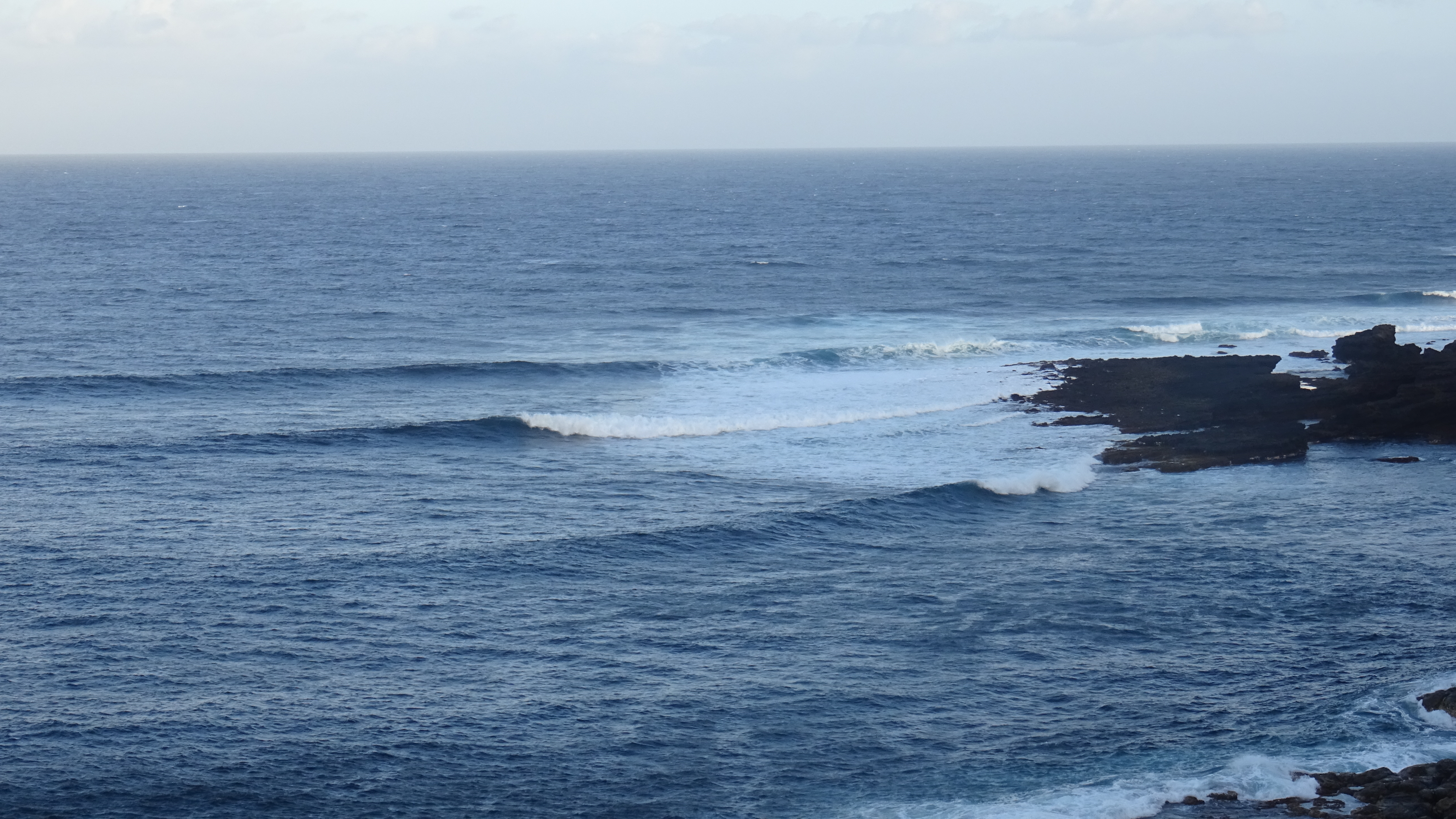 DSC05396.JPG