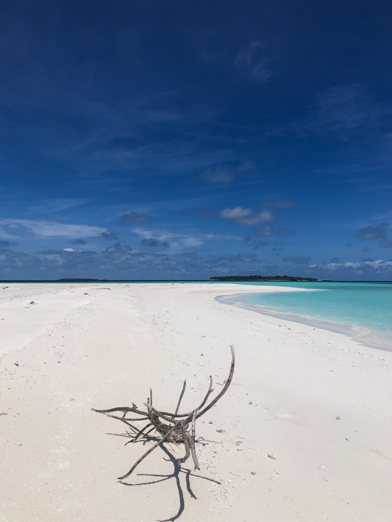 20220423-sOrOli-Web2048-IMG_7160.jpg 20220423-sOrOli-Web2048-IMG_7160.jpg