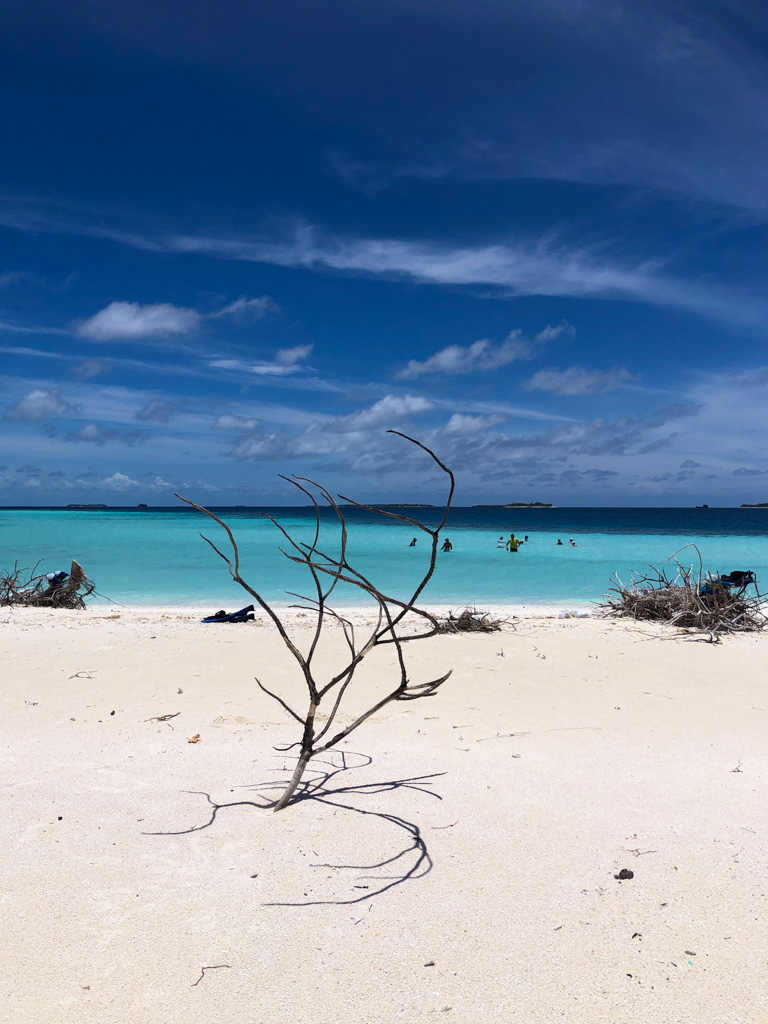 20220423-sOrOli-Web2048-IMG_7173.jpg 20220423-sOrOli-Web2048-IMG_7173.jpg