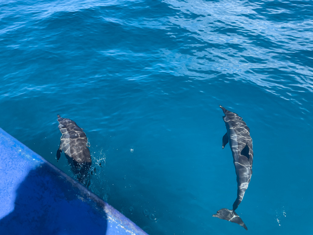 20220426-sOrOli-Web2048-IMG_3748.jpg