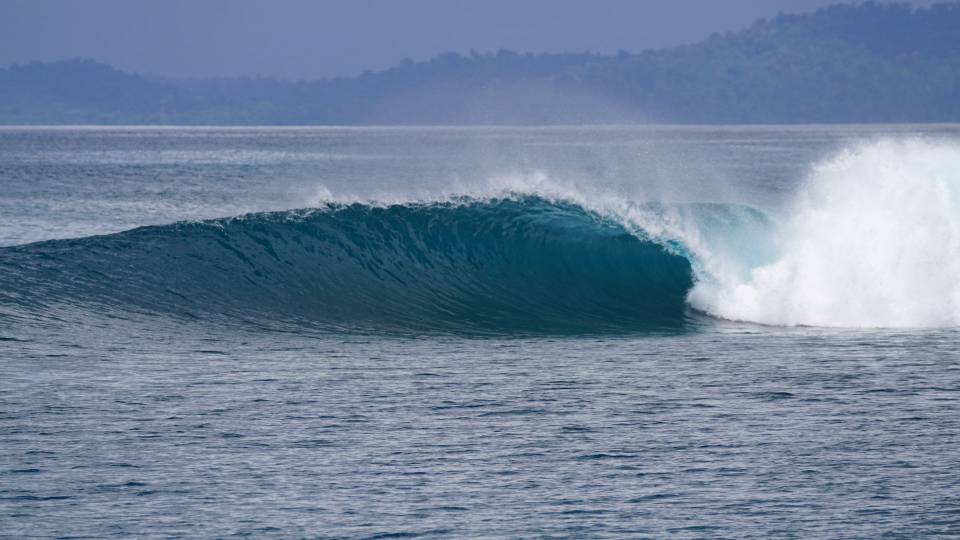 IMG-20220826-WA0001.jpg