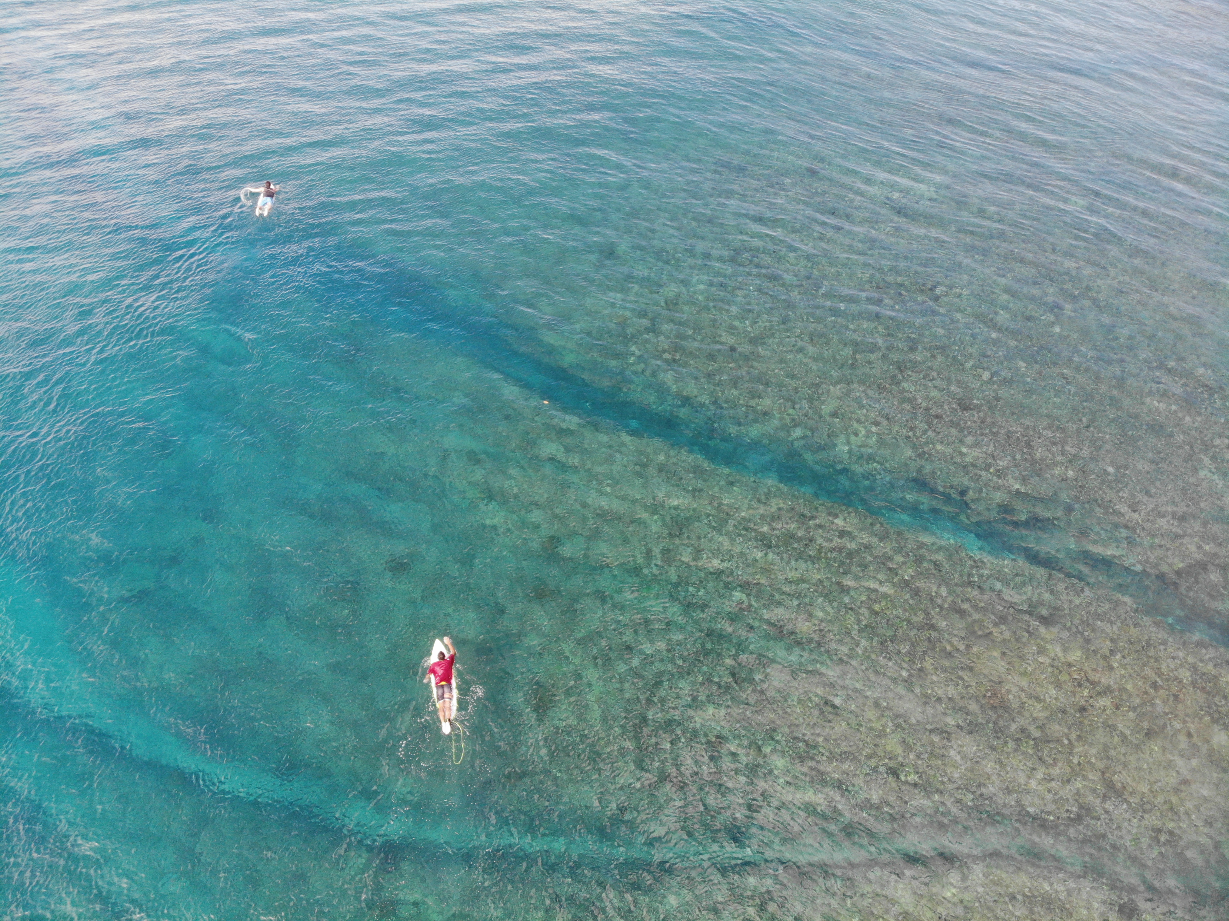DJI_0446.JPG