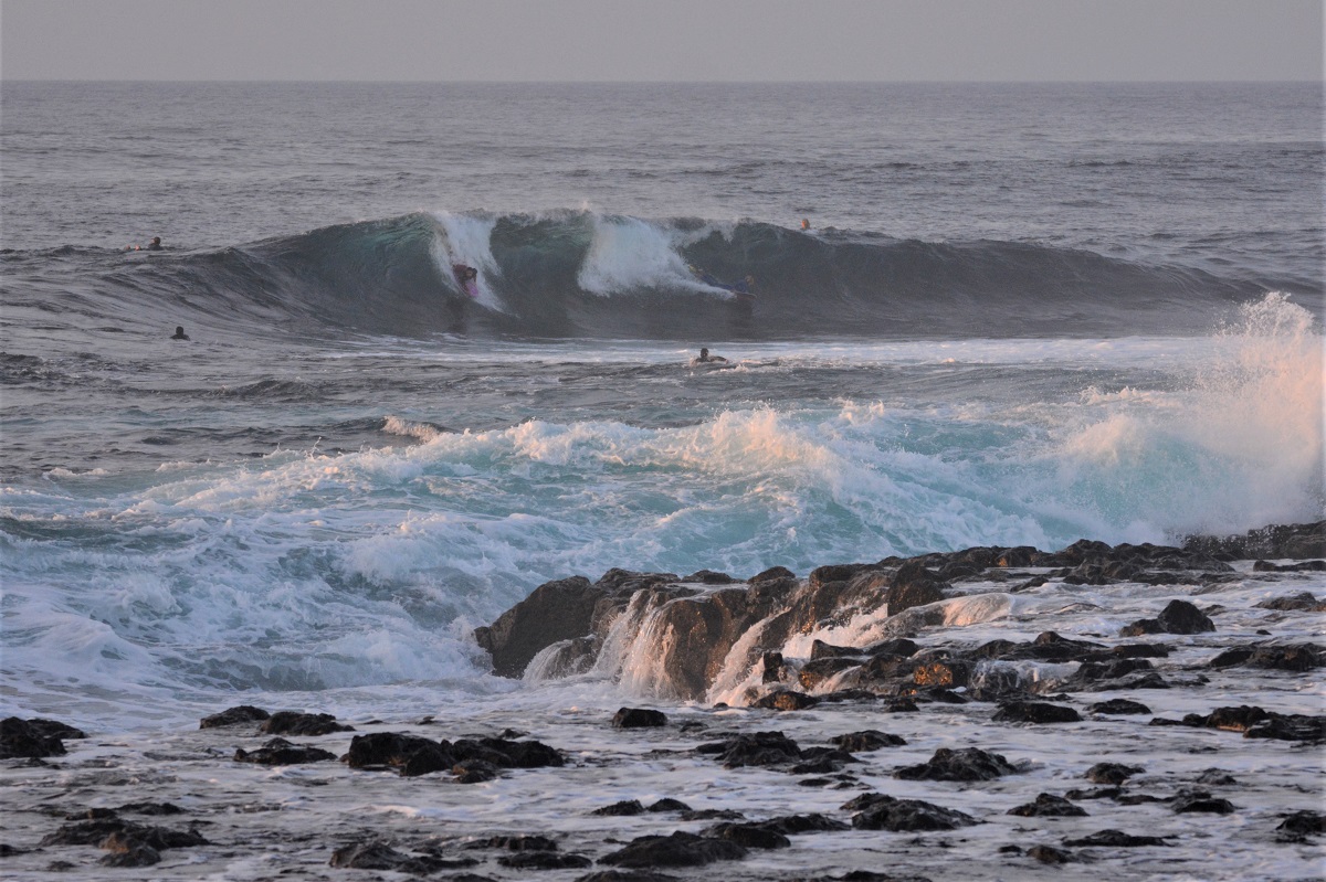 DSC_0018 (2).JPG DSC_0018 (2).JPG