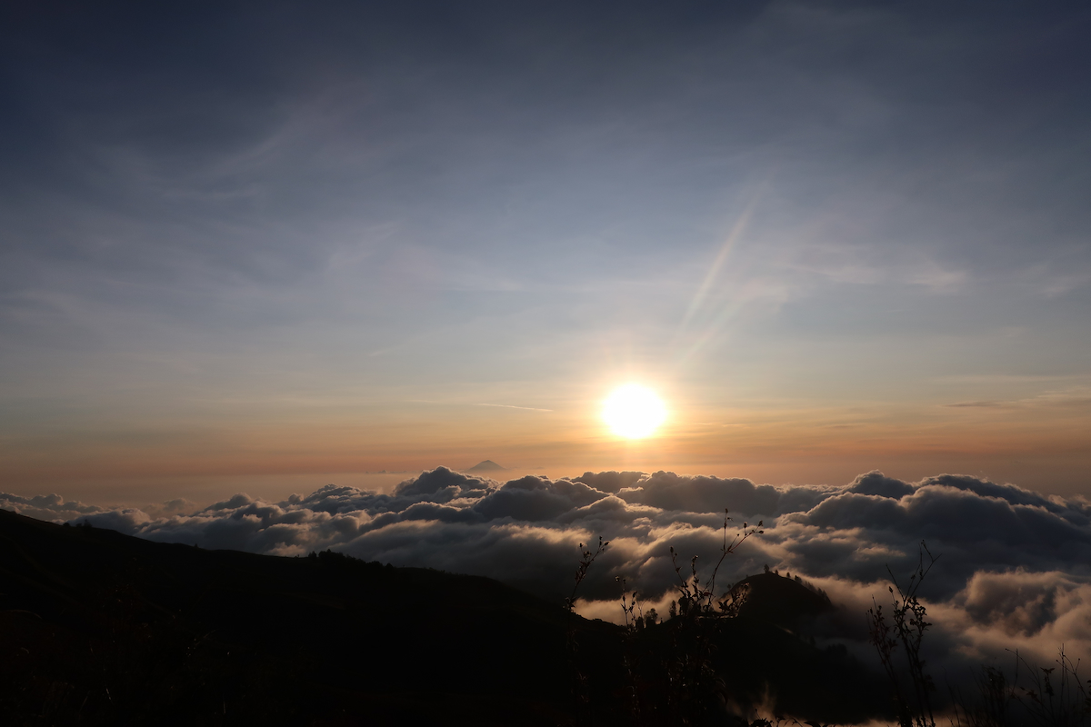 IMG_0645.jpg IMG_0645.jpg