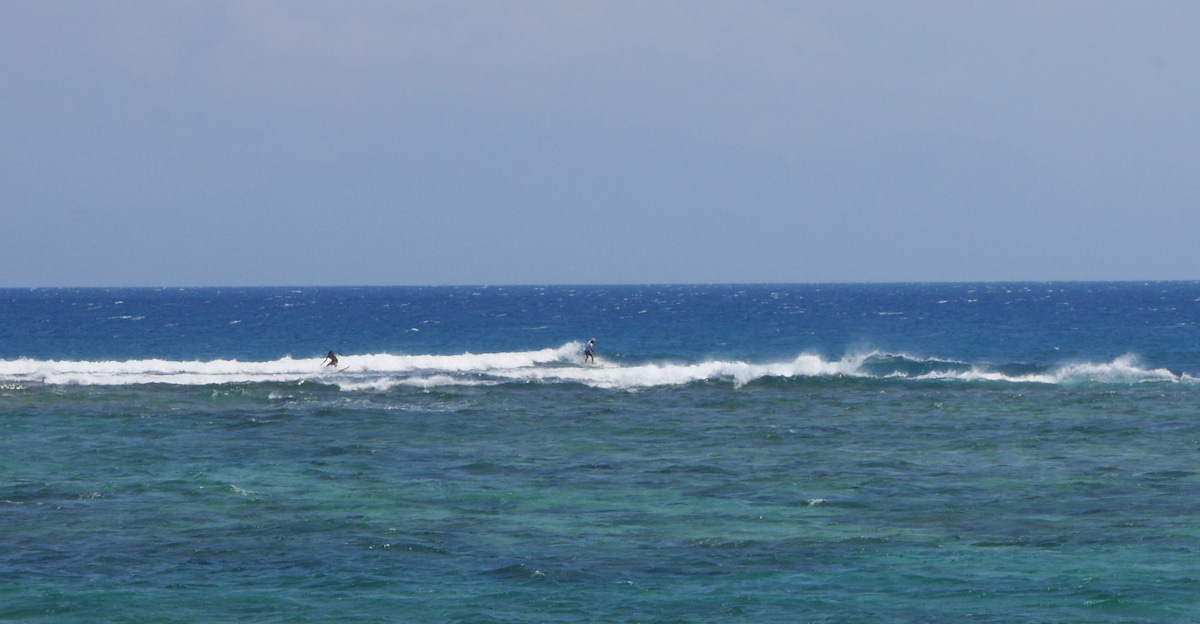 P1070292.jpg P1070292.jpg