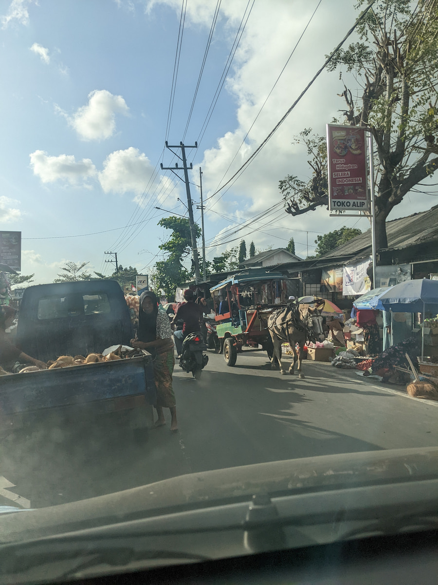 PXL_20220825_055145695.jpg PXL_20220825_055145695.jpg