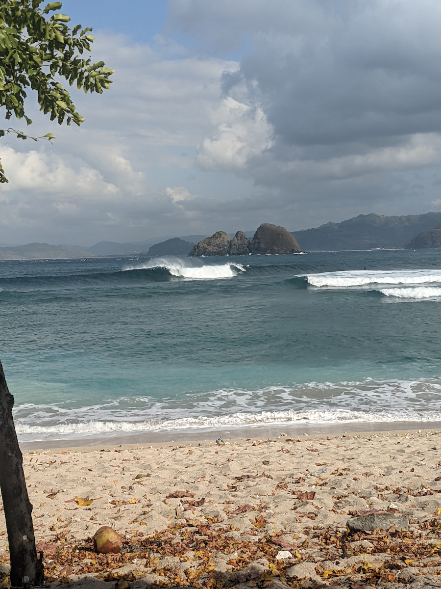 PXL_20220825_064635554.jpg PXL_20220825_064635554.jpg