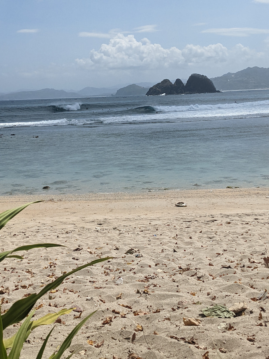 PXL_20220825_112714996.jpg PXL_20220825_112714996.jpg