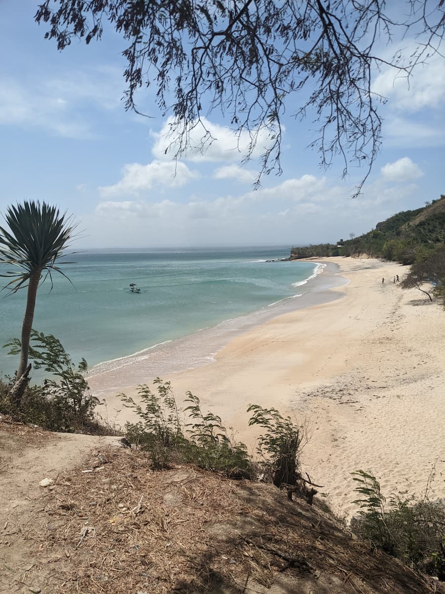 PXL_20220826_112144504.jpg PXL_20220826_112144504.jpg