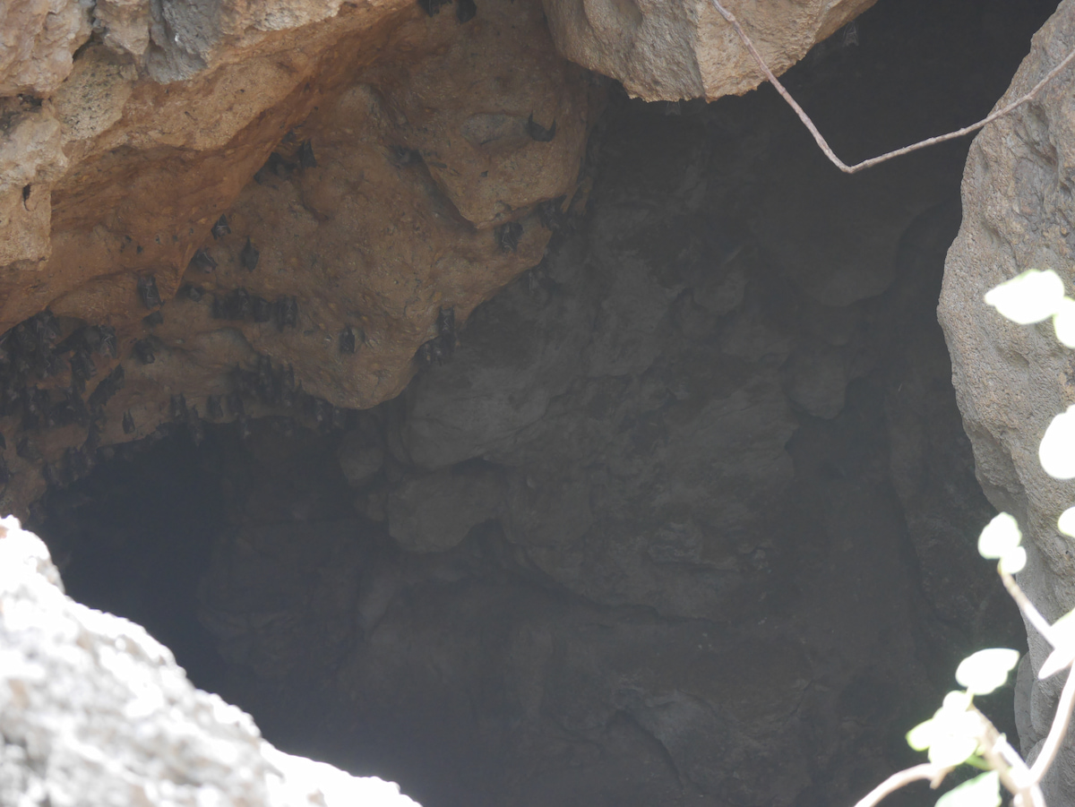 P1070366.jpg P1070366.jpg