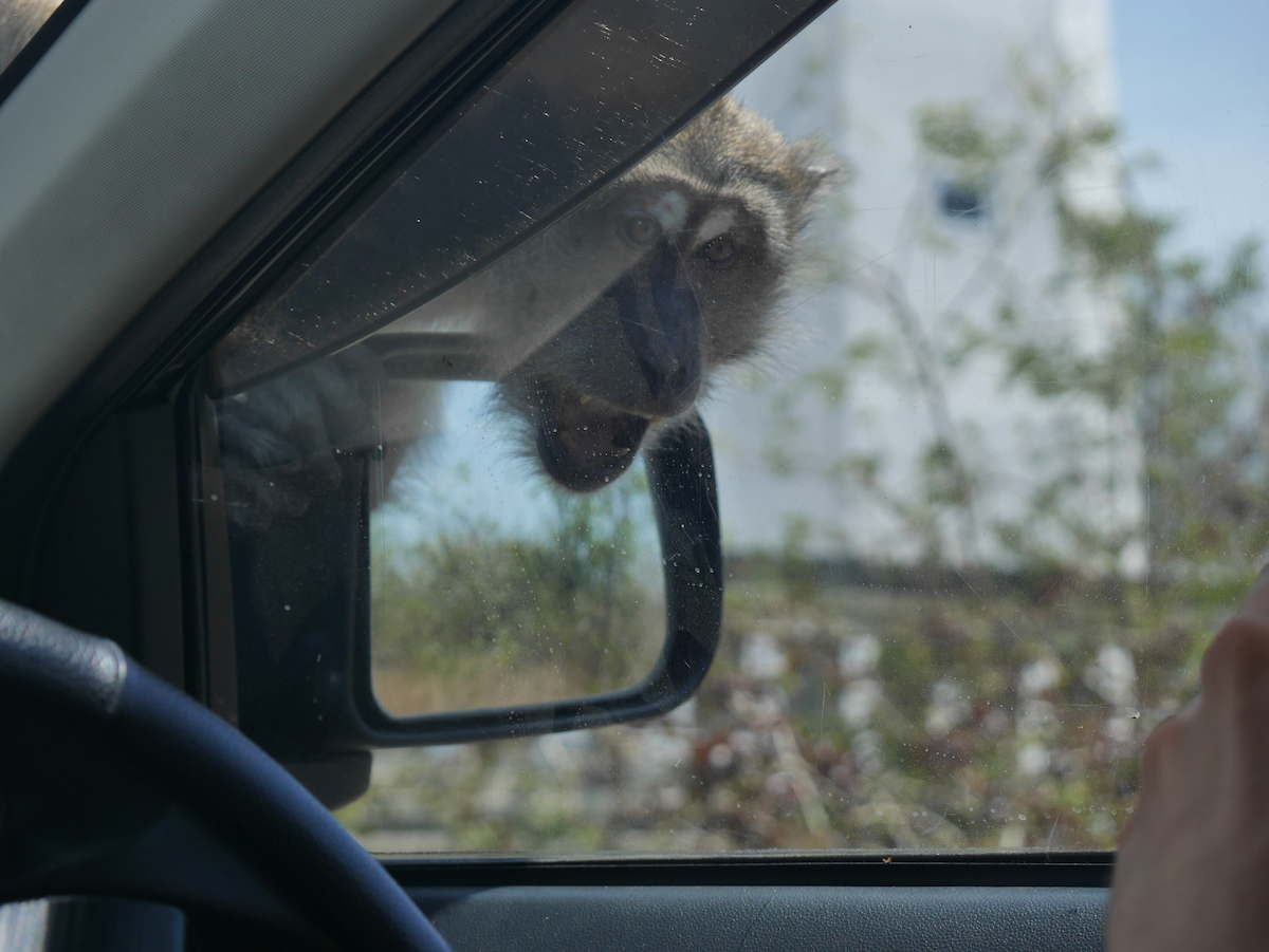 P1070394.jpg P1070394.jpg