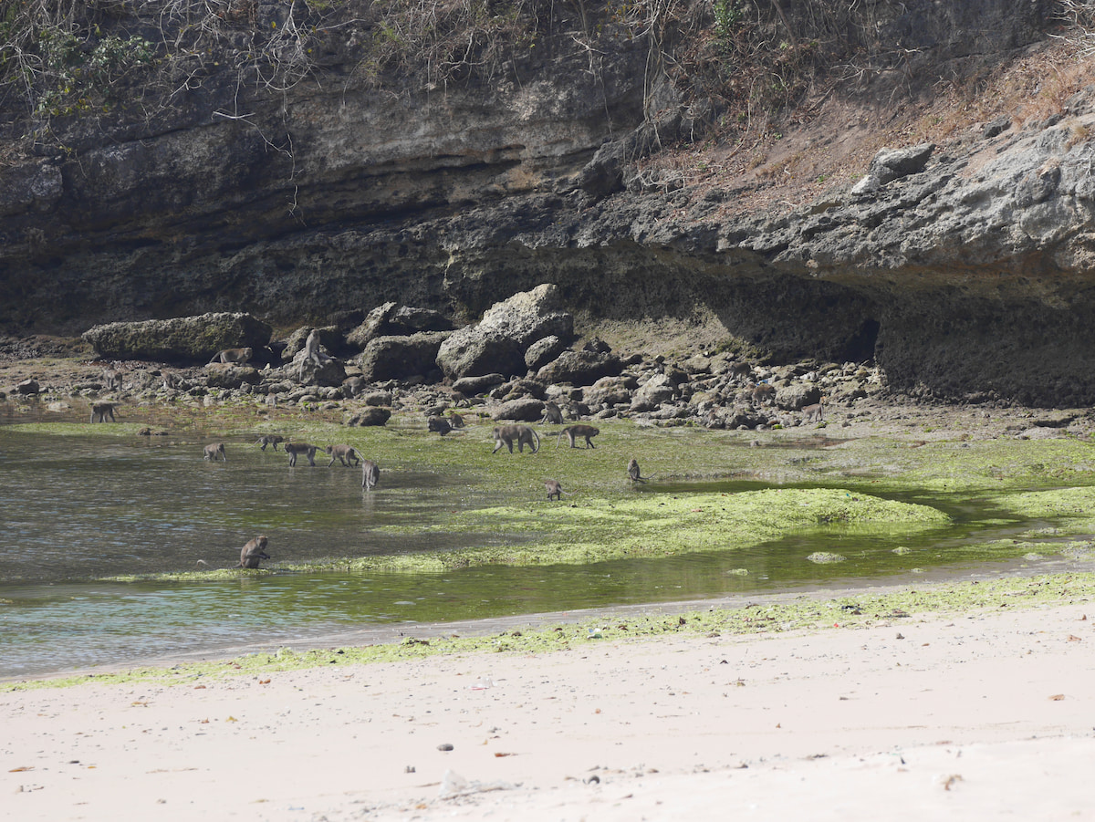 P1070413.jpg P1070413.jpg