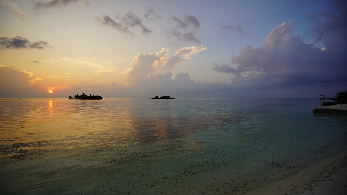 DSC08772.JPG