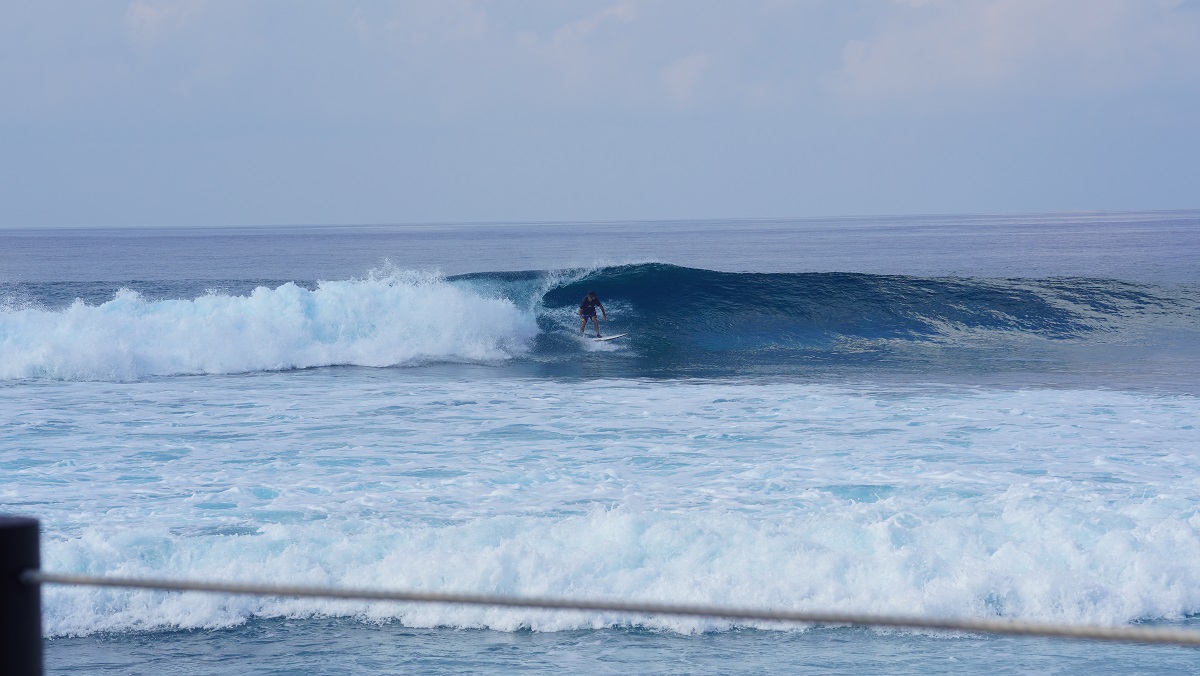 DSC08980.JPG