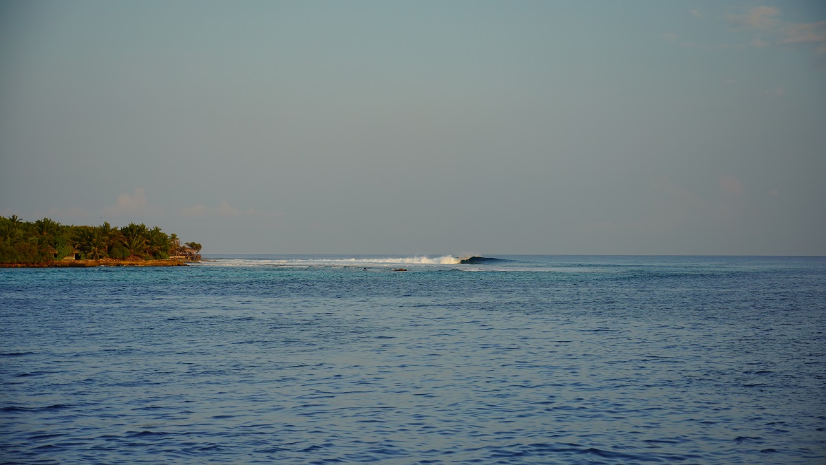 DSC09292.JPG