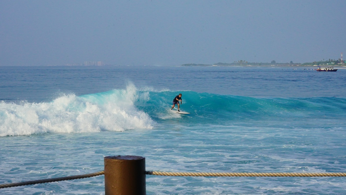 DSC09411.JPG DSC09411.JPG