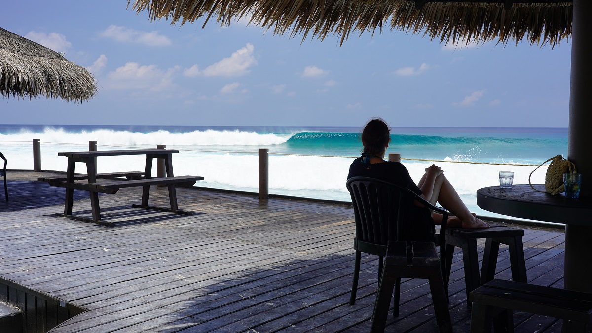 pas mal la vue au déjeuner / DSC09528.JPG DSC09528.JPG