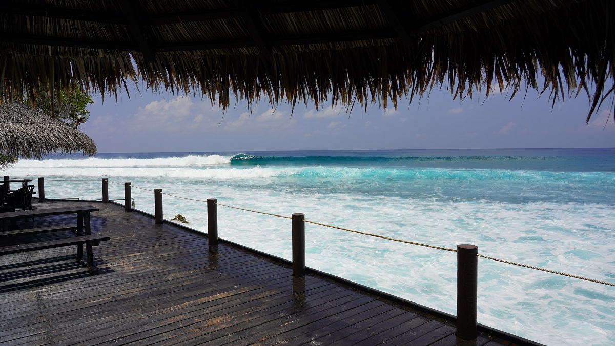 vierge / DSC09532.JPG DSC09532.JPG