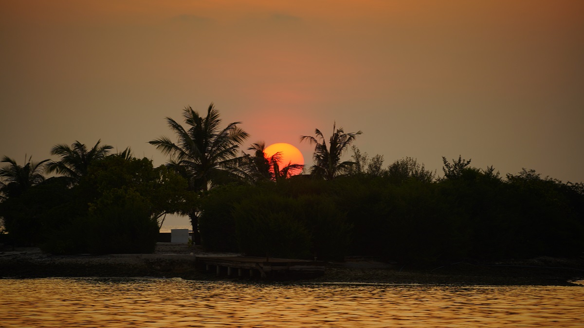 sunset / DSC09590.JPG DSC09590.JPG